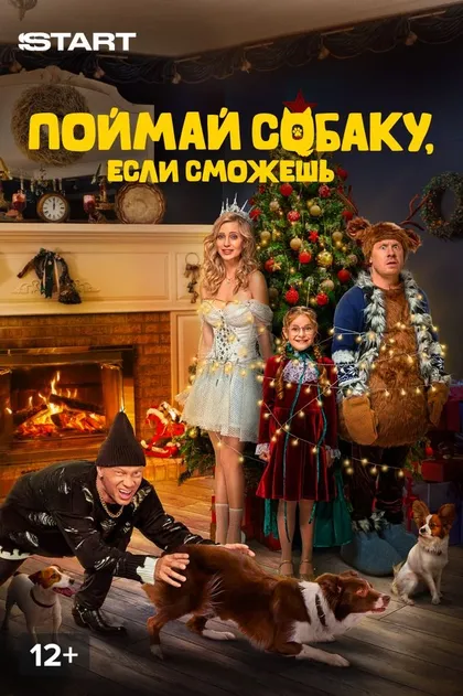 Поймай собаку, если сможешь